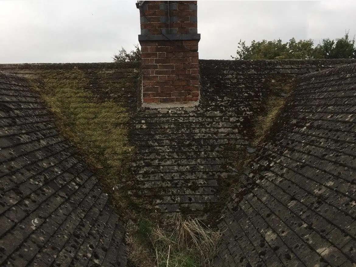 Roof cleaning by Geyserclean in Milton Keynes, before treatment