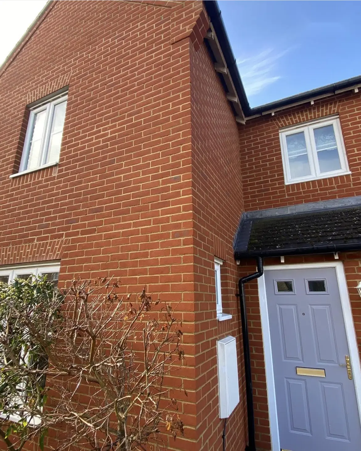 Ivy and tendril removal by Geyserclean in Milton Keynes, before treatment