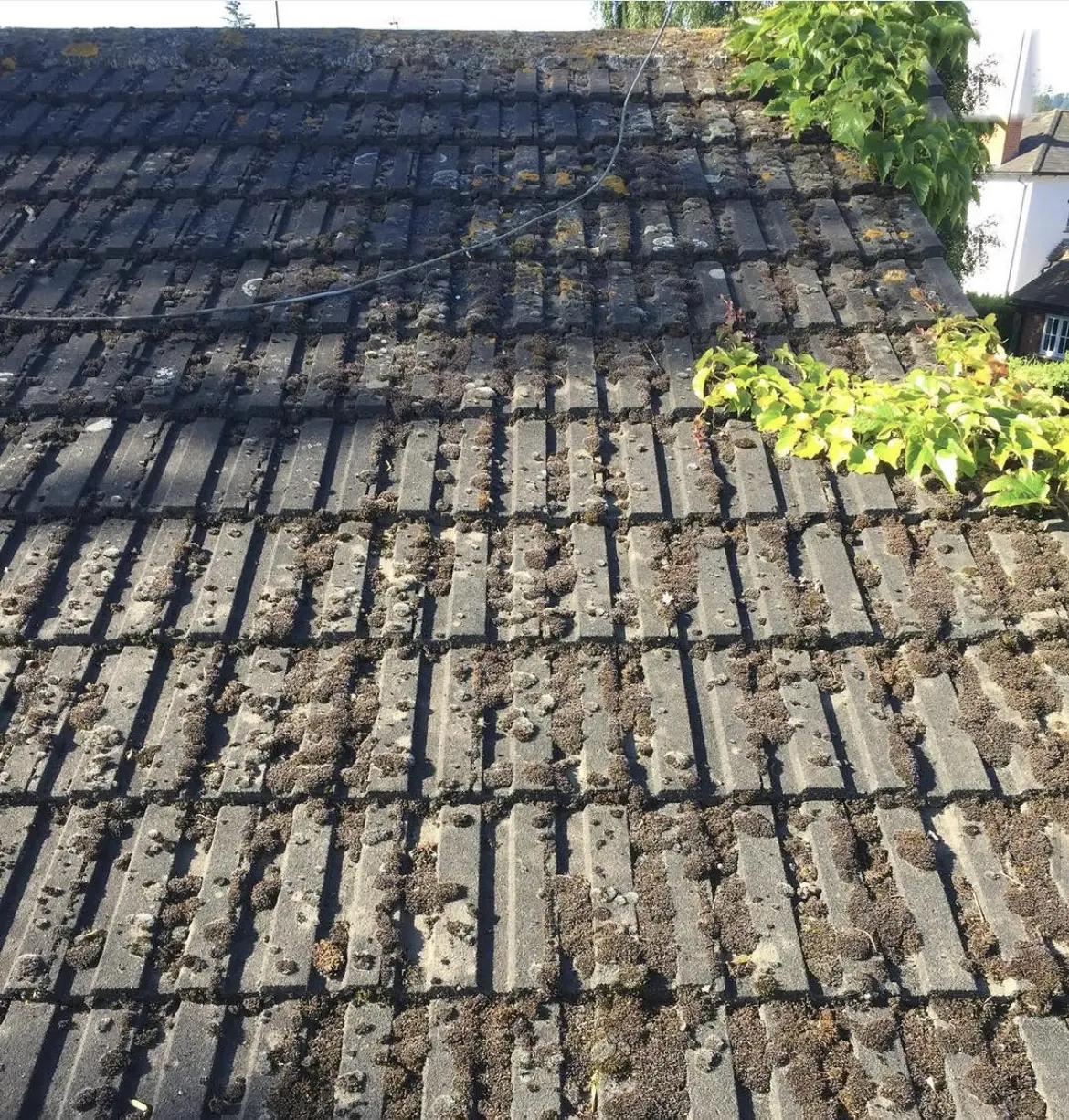 Roof cleaning by Geyserclean in Milton Keynes, before treatment